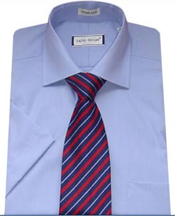 Half Sleeve Formal Shirt
