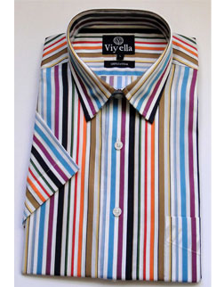 Viyella Multi-Stripe Shirt